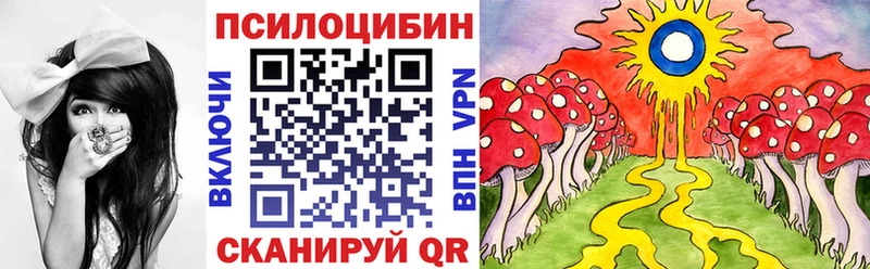 где купить наркотик  Купино  Псилоцибиновые грибы мухоморы 